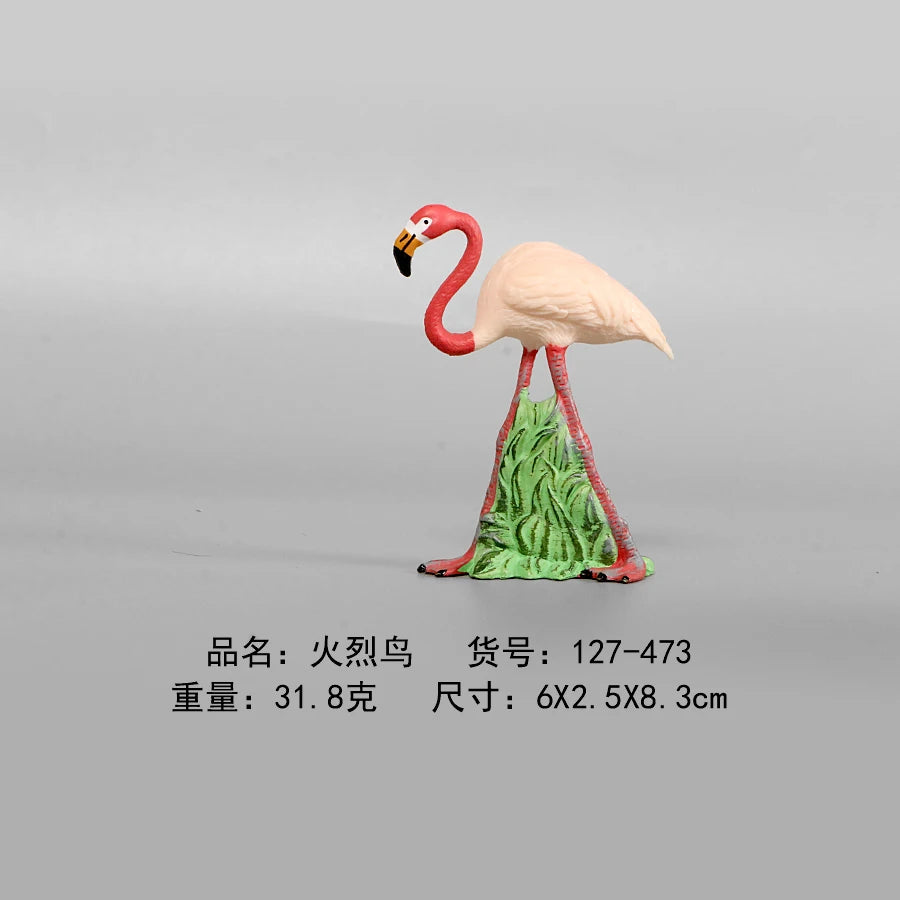 Simulation Animal Models Birds Figurine Parrots Owls Otriches Turkey PVC Plastic Models,Hand Painted Collection Toys For Kids