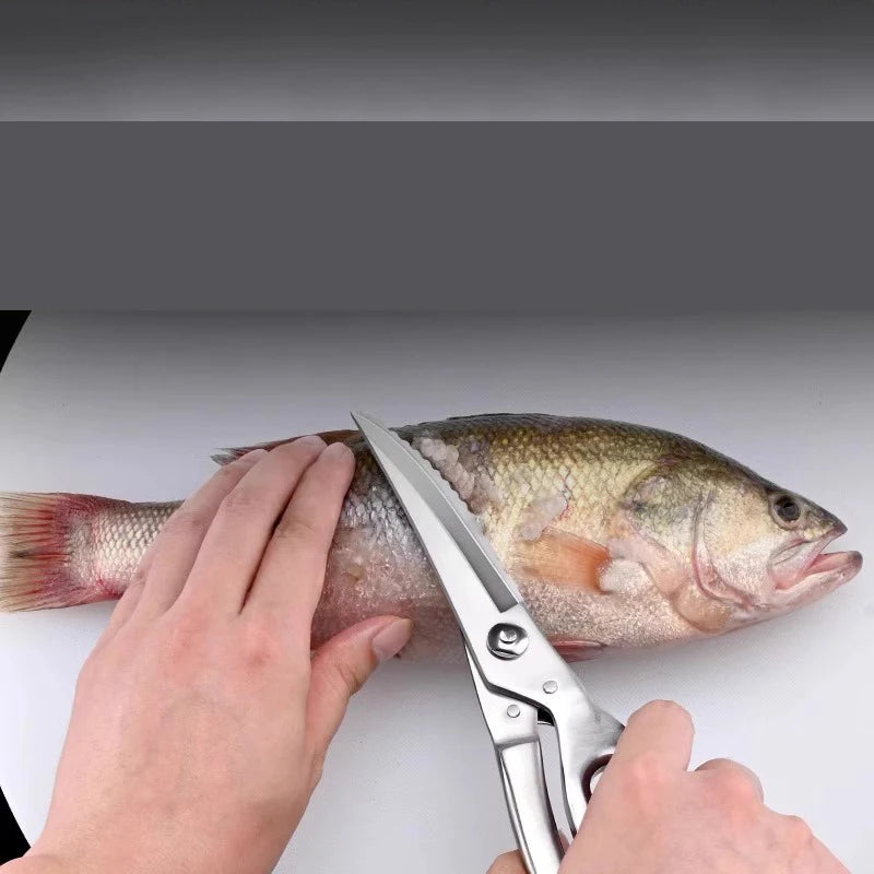 PLYS Fish Killing Kitchen Scissors, Stainless Steel Multifunctional Chicken Bone Scissors, Kitchen Fish Scaling Tool