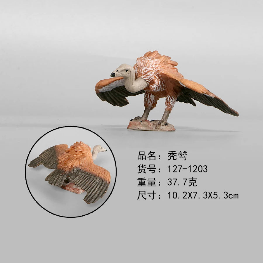 Simulation Animal Models Birds Figurine Parrots Owls Otriches Turkey PVC Plastic Models,Hand Painted Collection Toys For Kids