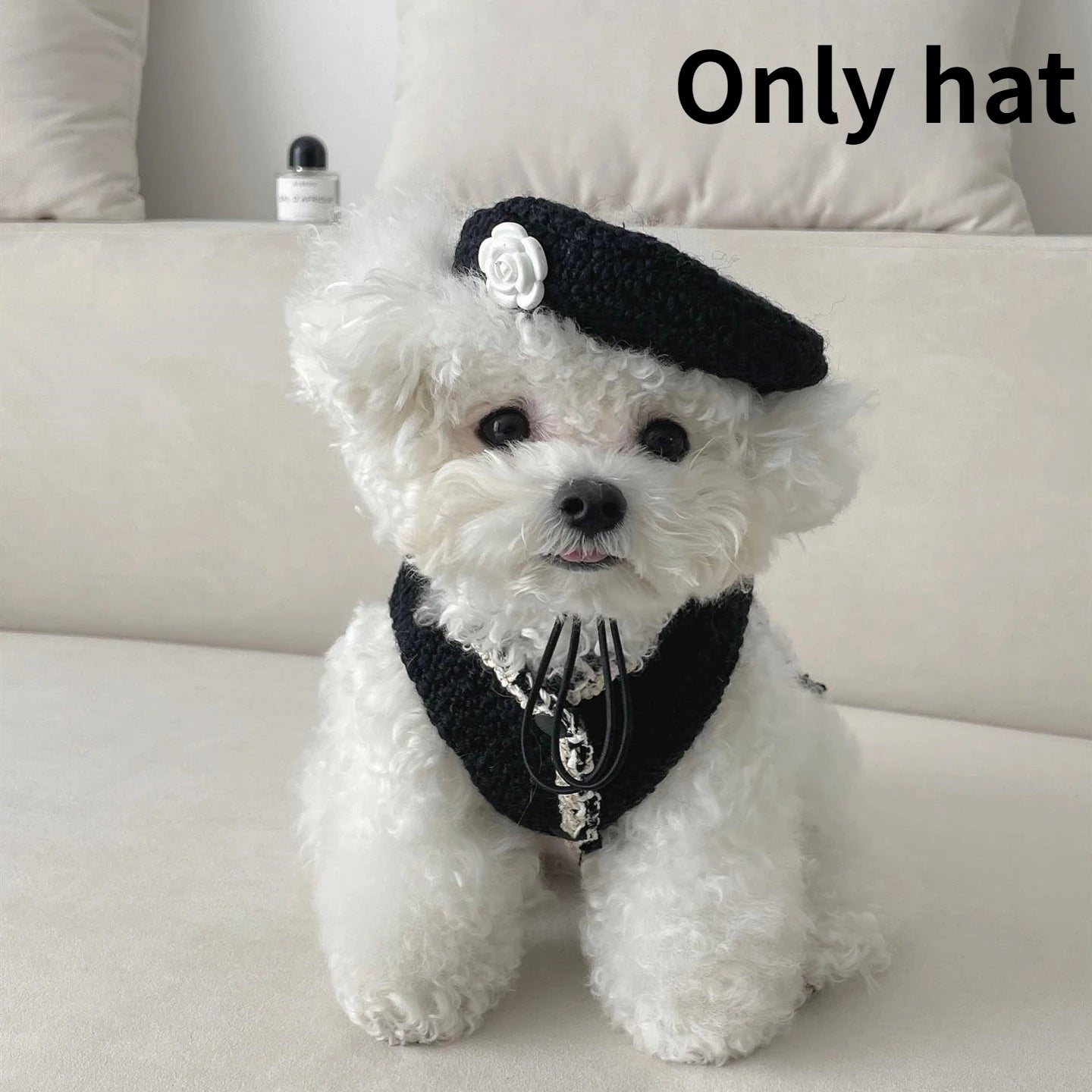 Only Hat Elegant Lady Knitted Hat Dog Outfit Cat Accessories Dog Hat Katten Accessories
