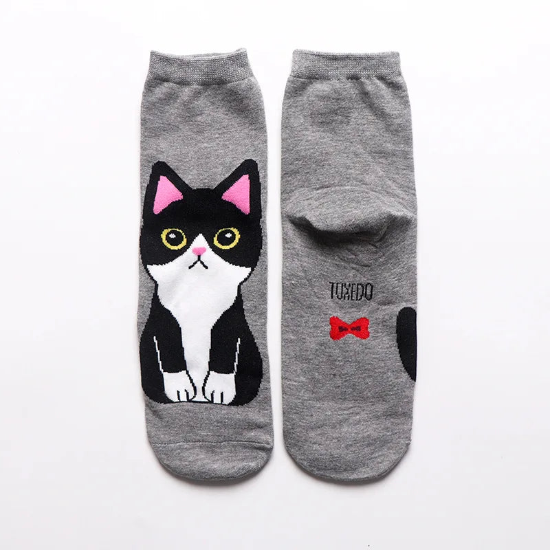 25 Patterns Korea Japan Fashion Funny Cartoon Lovely Cats Happy Socks Women Girls Casual Streetwear Cute Dress Sox Spring Summer