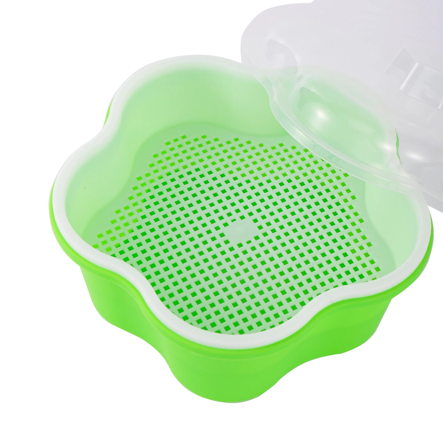 Sprout Planting Pot Bean Sprouter Seedling Tray Wheat Grass Growing Germination Healthy Sprouts for Salads kitchen tool