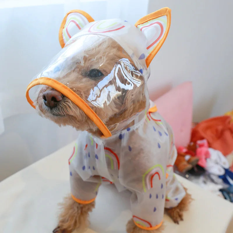 Dog Clothe Rainbow Waterproof Raincoat for Small Dog Puppy Pet Cat All Season Pet Cute Costume Pet Clothes Dog Coat Pet Clothes