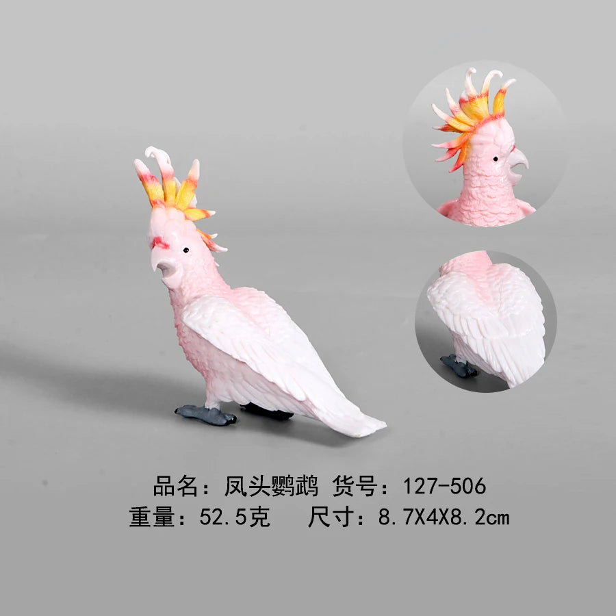 Simulation Animal Models Birds Figurine Parrots Owls Otriches Turkey PVC Plastic Models,Hand Painted Collection Toys For Kids
