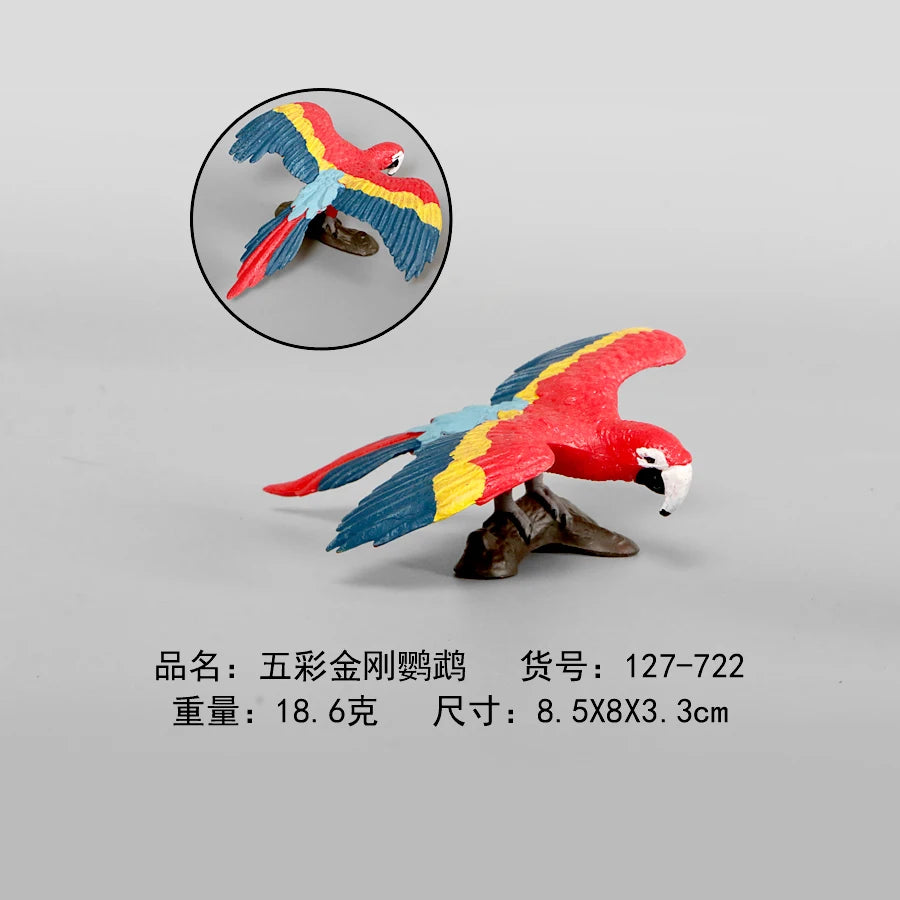 Simulation Animal Models Birds Figurine Parrots Owls Otriches Turkey PVC Plastic Models,Hand Painted Collection Toys For Kids