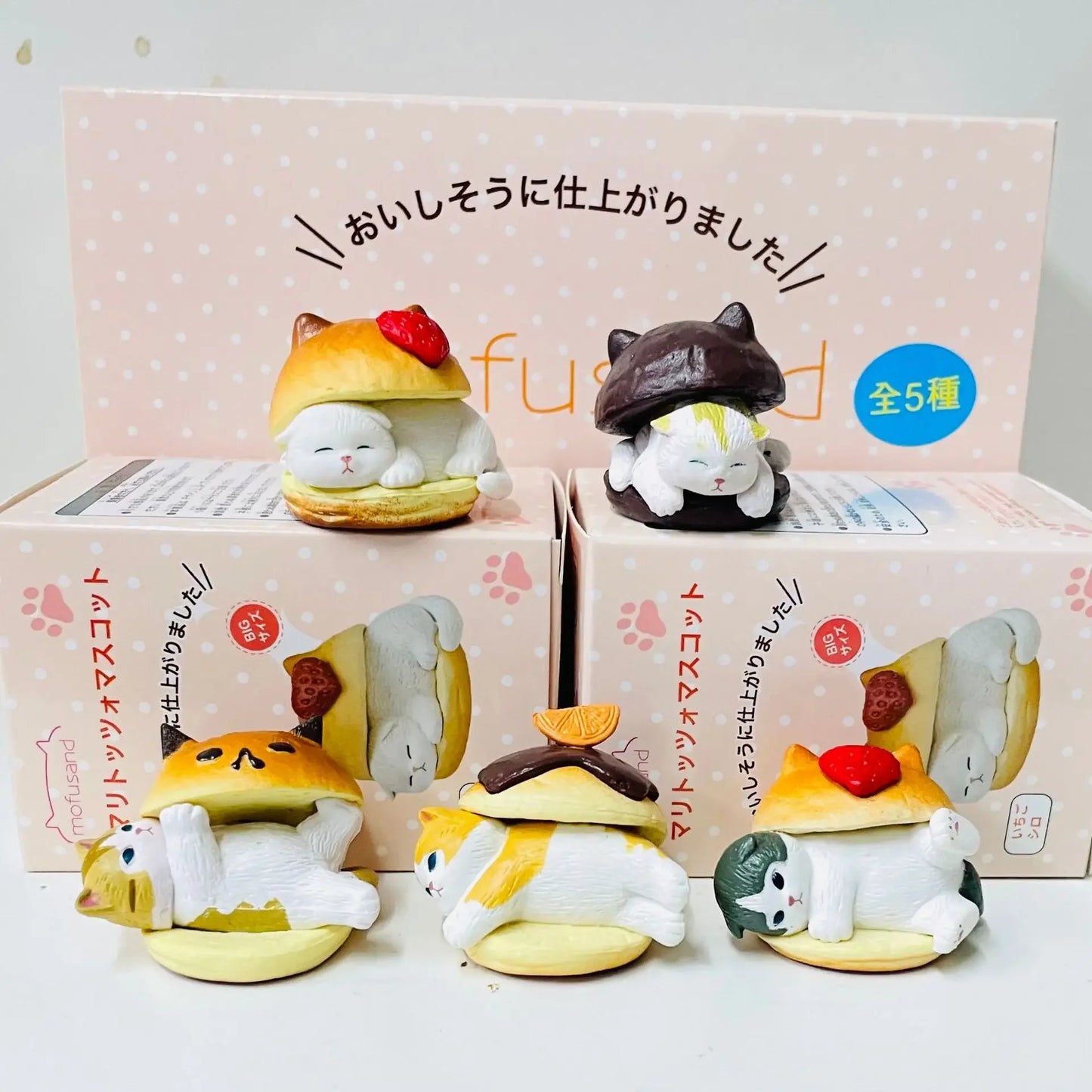 Eikoh Egg Box Blind Box Mofusand Cat Shark Illustration Designer Shark Cat Collection Model Scenery 5 Decorations For Kid's Gift