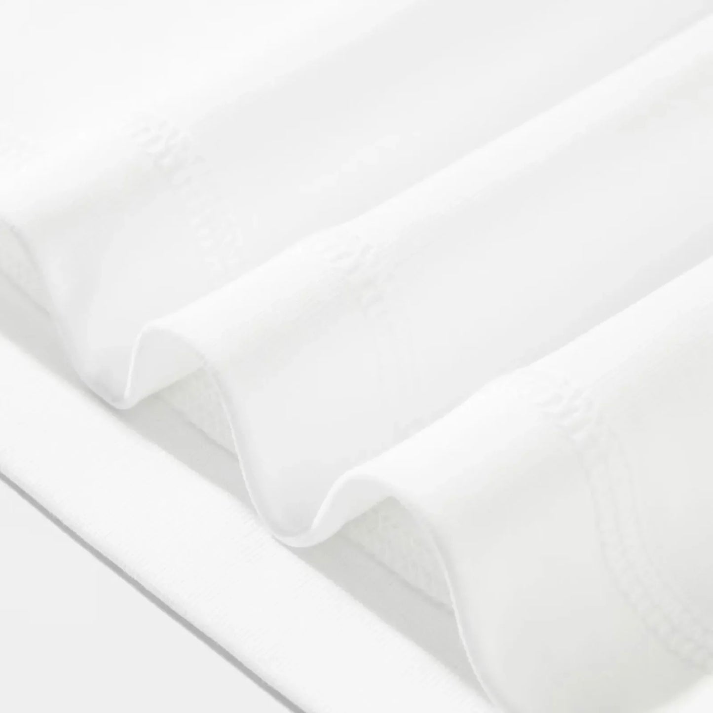 Social Media Star The Squirrel Fred The Raccoon Funny Ladies' Crewneck T-Shirt