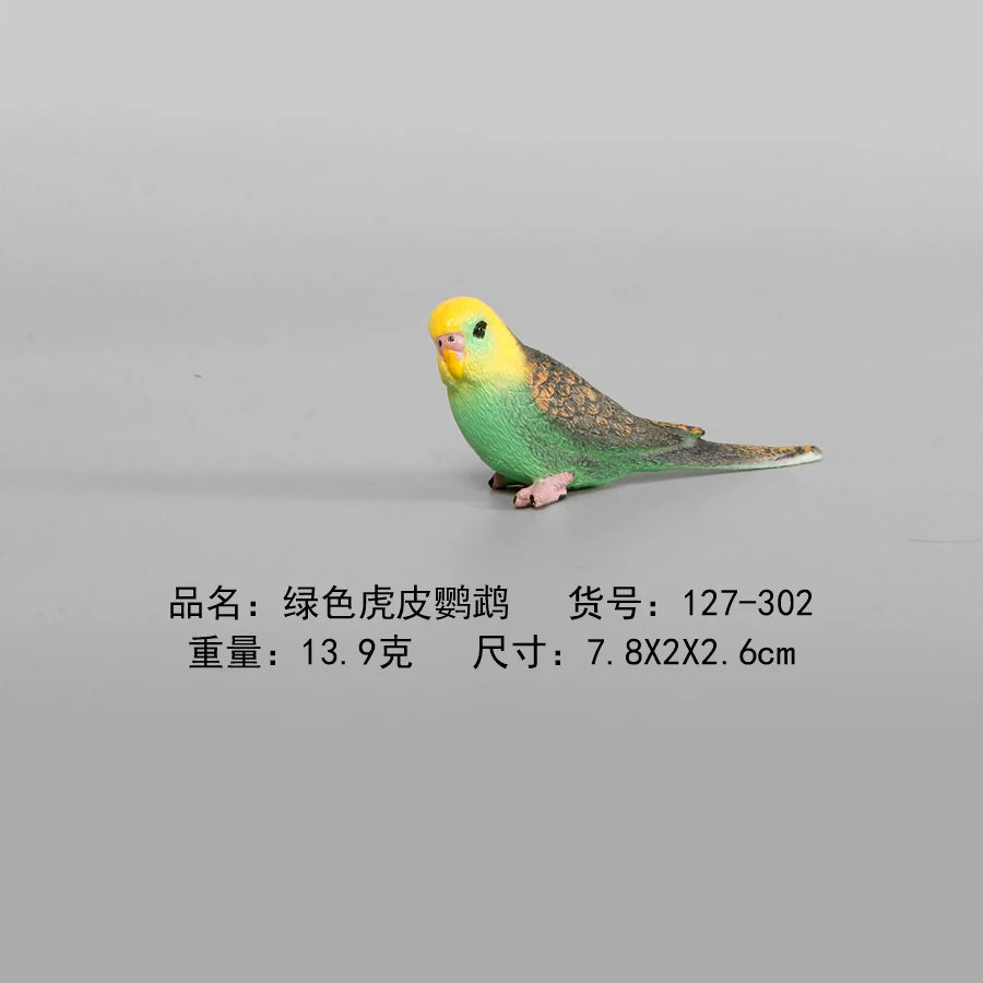 Simulation Animal Models Birds Figurine Parrots Owls Otriches Turkey PVC Plastic Models,Hand Painted Collection Toys For Kids