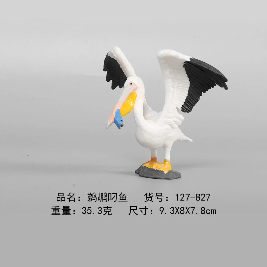 Simulation Animal Models Birds Figurine Parrots Owls Otriches Turkey PVC Plastic Models,Hand Painted Collection Toys For Kids