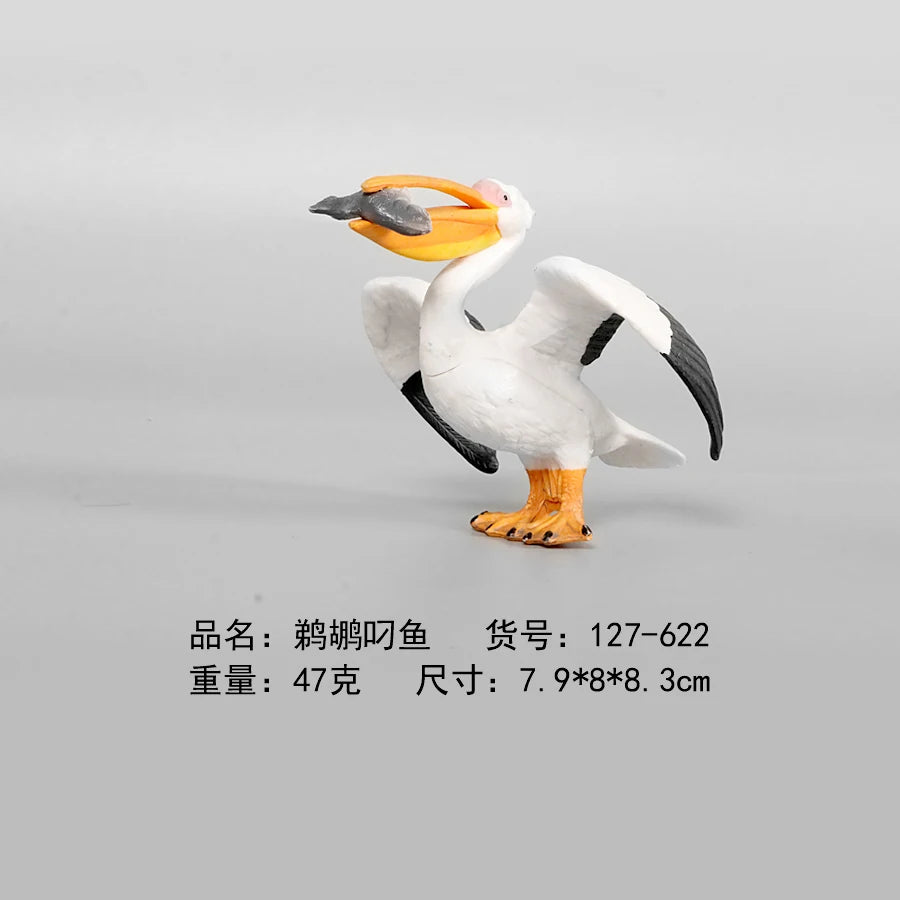 Simulation Animal Models Birds Figurine Parrots Owls Otriches Turkey PVC Plastic Models,Hand Painted Collection Toys For Kids