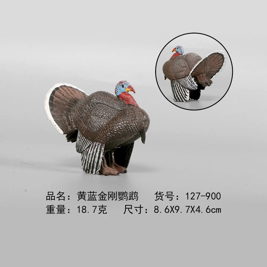Simulation Animal Models Birds Figurine Parrots Owls Otriches Turkey PVC Plastic Models,Hand Painted Collection Toys For Kids