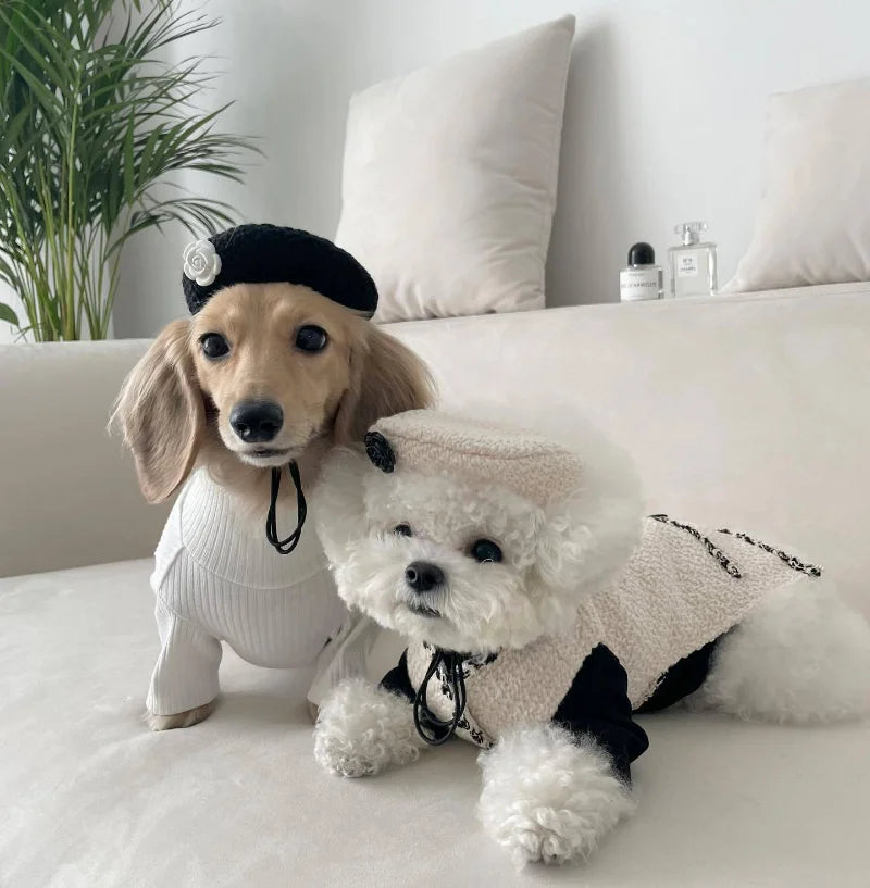 Only Hat Elegant Lady Knitted Hat Dog Outfit Cat Accessories Dog Hat Katten Accessories