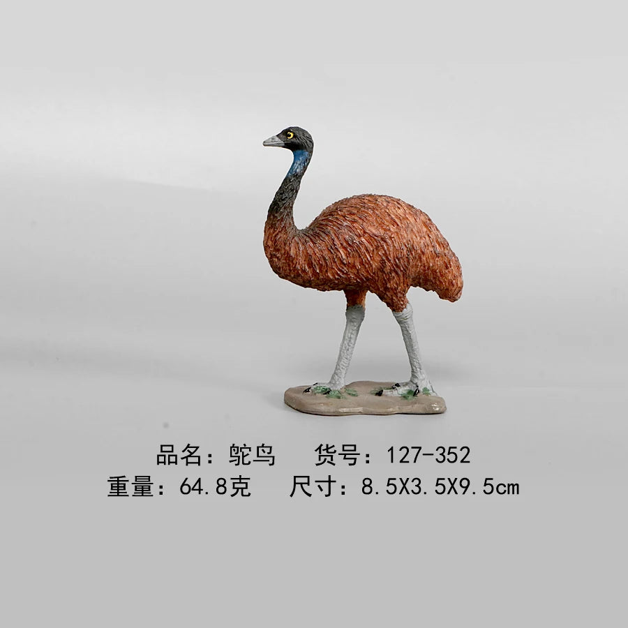 Simulation Animal Models Birds Figurine Parrots Owls Otriches Turkey PVC Plastic Models,Hand Painted Collection Toys For Kids