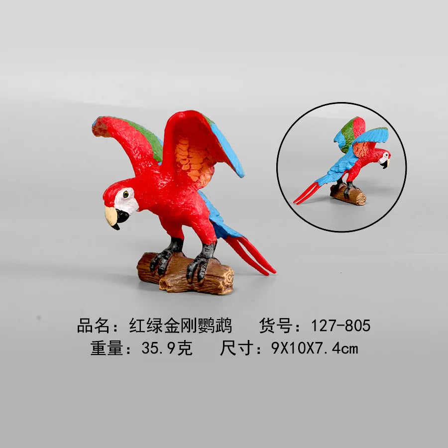 Simulation Animal Models Birds Figurine Parrots Owls Otriches Turkey PVC Plastic Models,Hand Painted Collection Toys For Kids