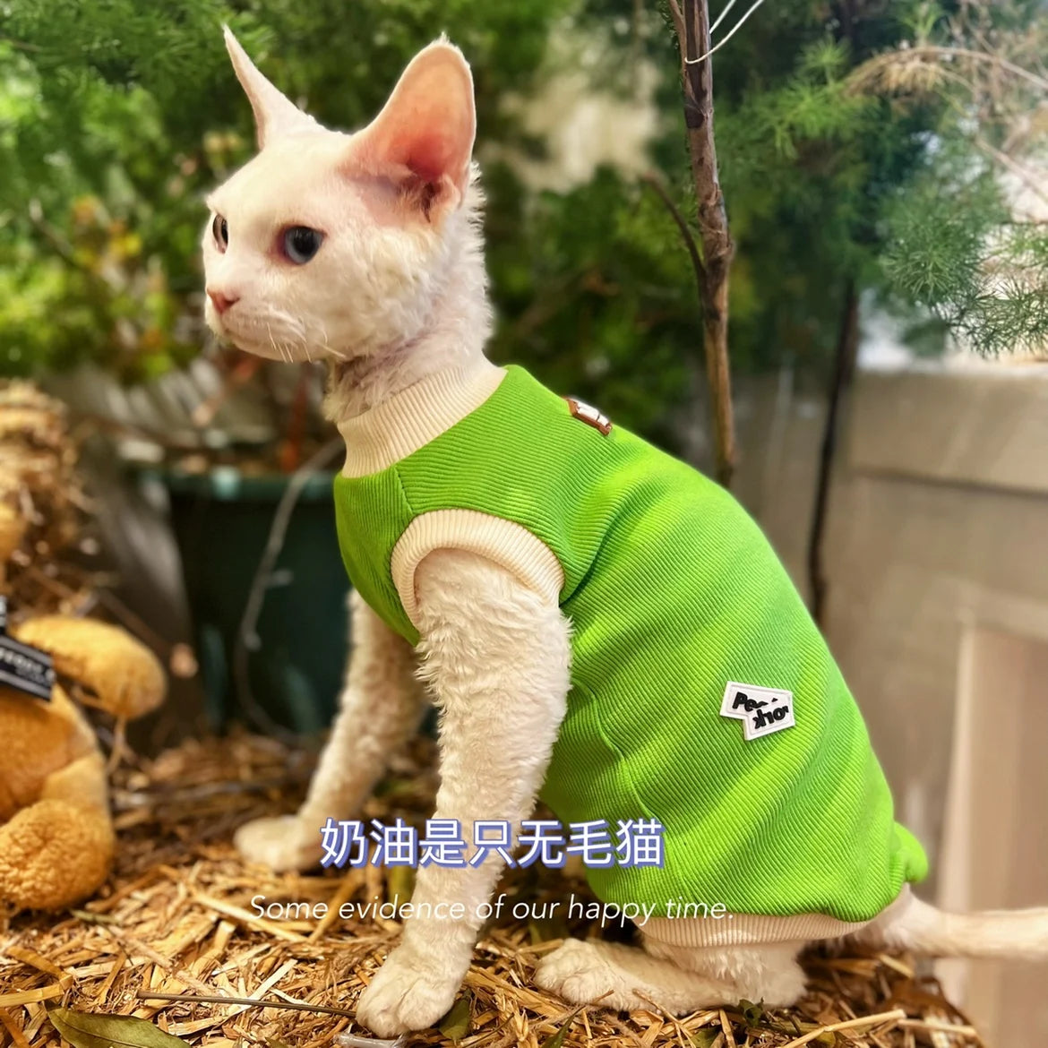 Green Cotton Shirt for Sphynx Cat Soft Sleeveless Jumpsuit for Kittens Summer Vest For Devon Rex Spring Coat for Hairless cat