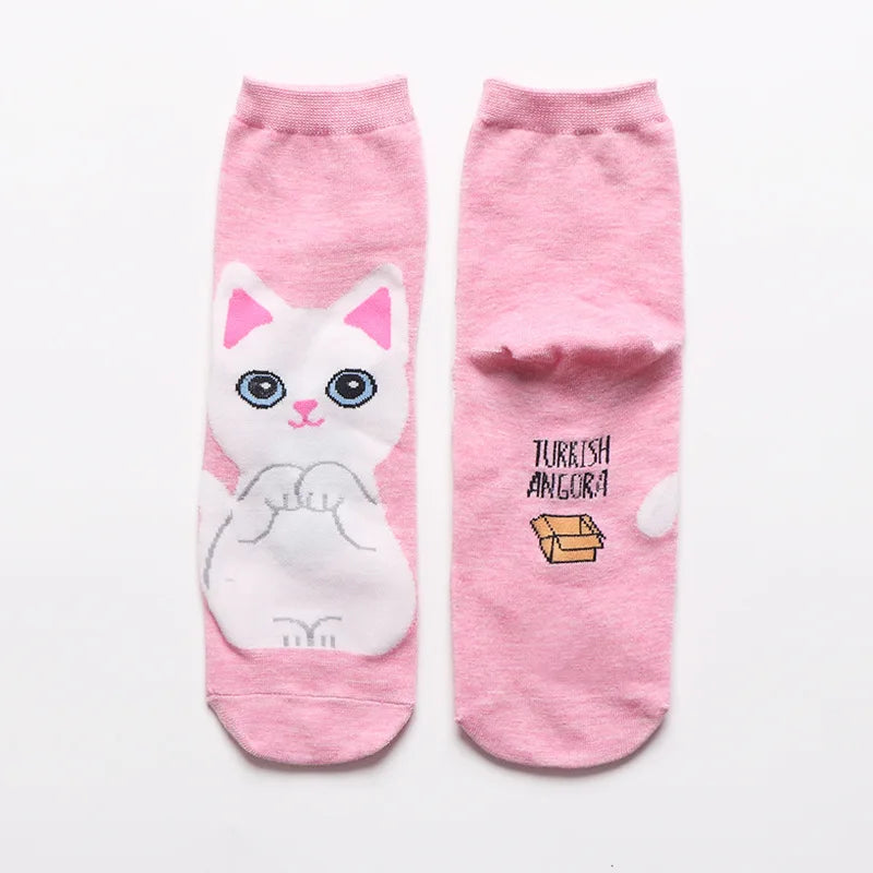 25 Patterns Korea Japan Fashion Funny Cartoon Lovely Cats Happy Socks Women Girls Casual Streetwear Cute Dress Sox Spring Summer